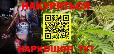 a pvp Славгород
