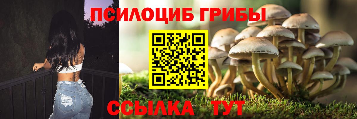 Псилоцибиновые грибы мицелий Нарткала